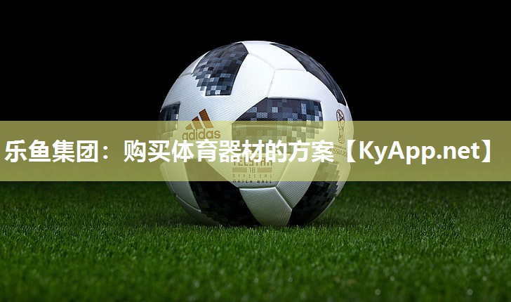 乐鱼集团：购买体育器材的方案