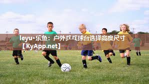 leyu·乐鱼：户外乒乓球台选择高度尺寸