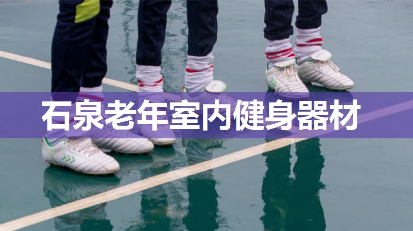 石泉老年室内健身器材 石泉老年室内健身器材