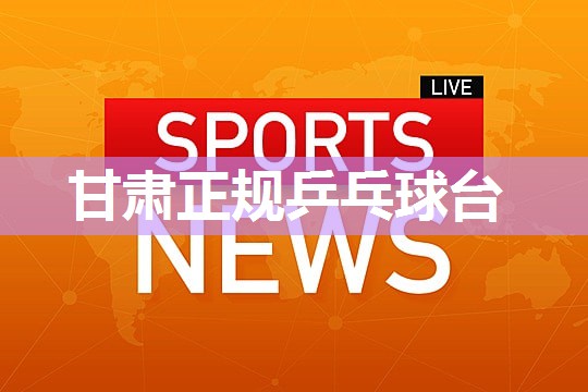 甘肃正规乒乓球台 甘肃正规乒乓球台