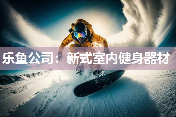 新式室内健身器材 新式室内健身器材