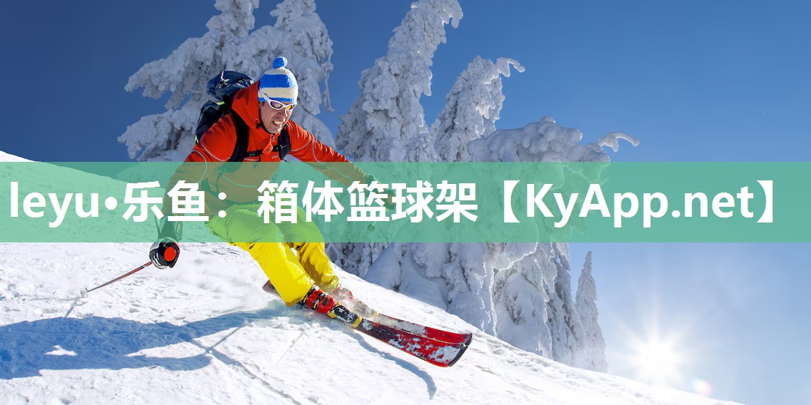 箱体篮球架 箱体篮球架